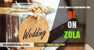 Honeymoon Fund Goals: How Much to Request on Zola