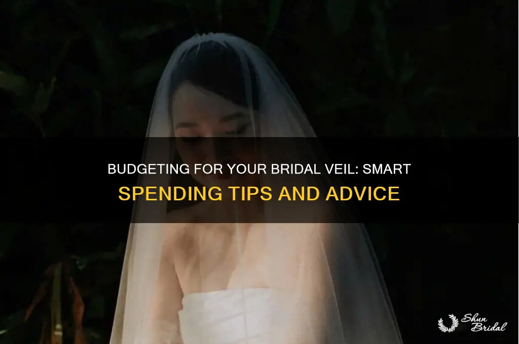how much should i spend on veil