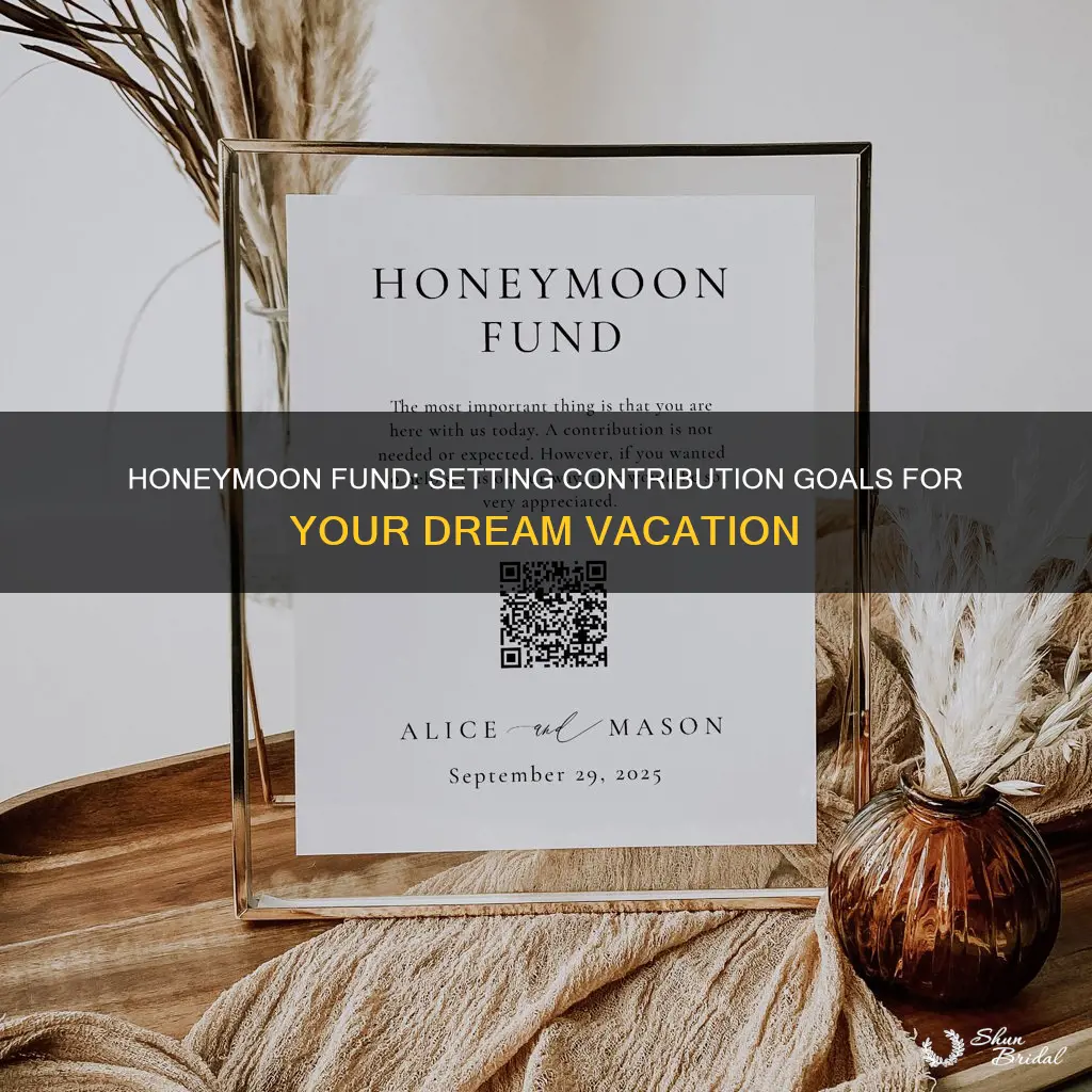 how much should you contribute to a honeymoon fund