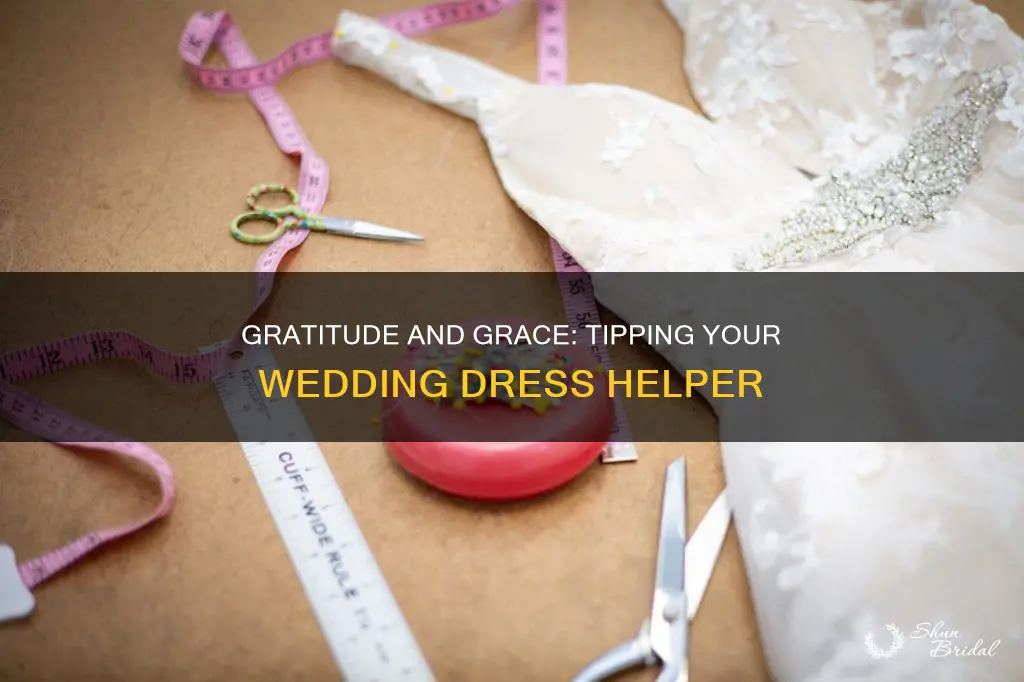 how much tip wedding dress helper