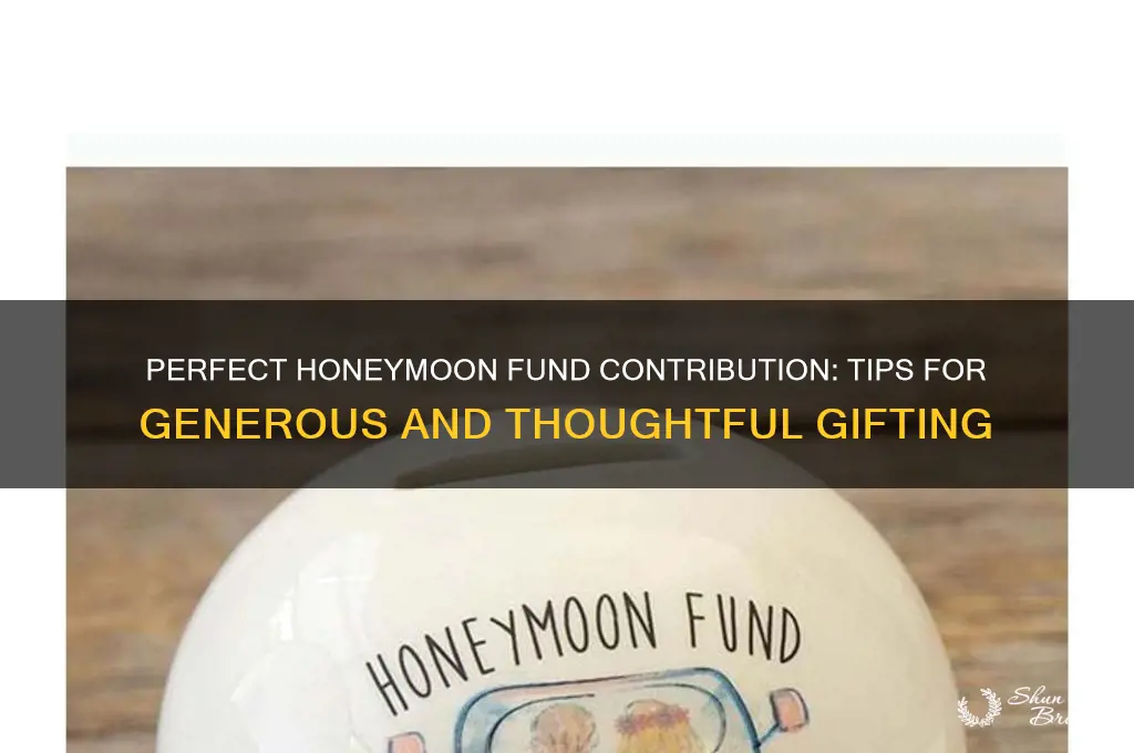 how much to contribute to honeymoon fund