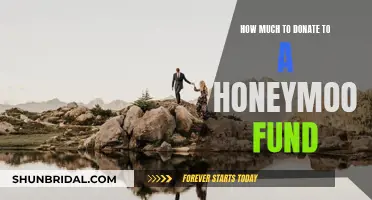 Honeymoon Fund: Deciding How Much to Donate