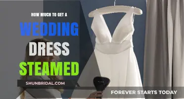 Steaming Your Wedding Dress: How Much Does It Cost?