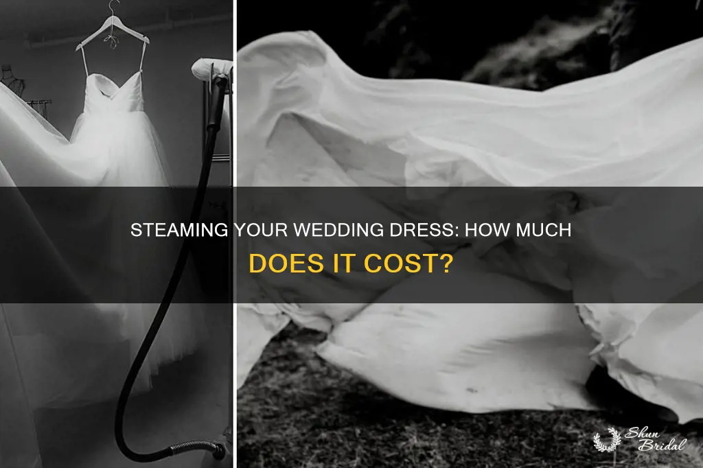 how much to get a wedding dress steamed