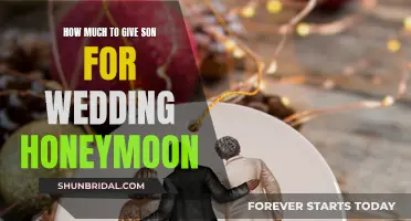 Generous Honeymoon Gift: A Parent's Wedding Gesture