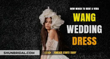 Vera Wang Wedding Dress Rentals: Costs and Insights