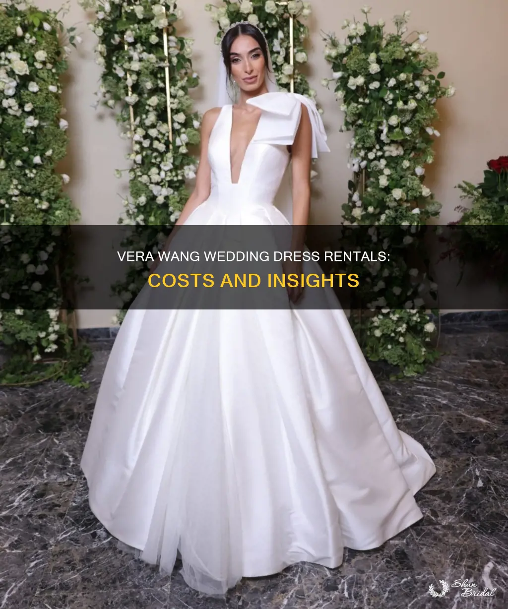 how much to rent a vera wang wedding dress