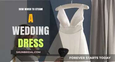 Steaming a Wedding Dress: Cost and Care