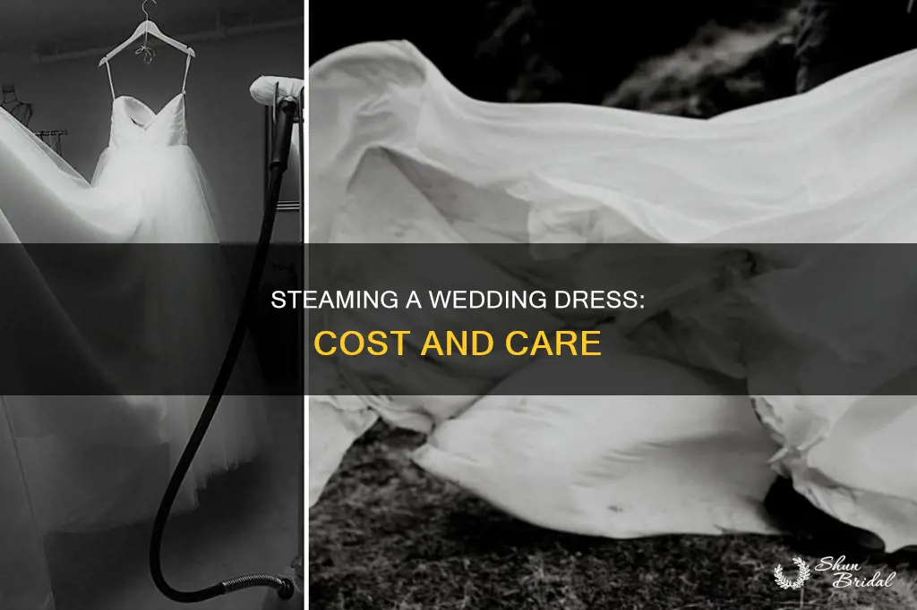 how much to steam a wedding dress