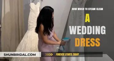 Steam Cleaning a Wedding Dress: Cost and Care