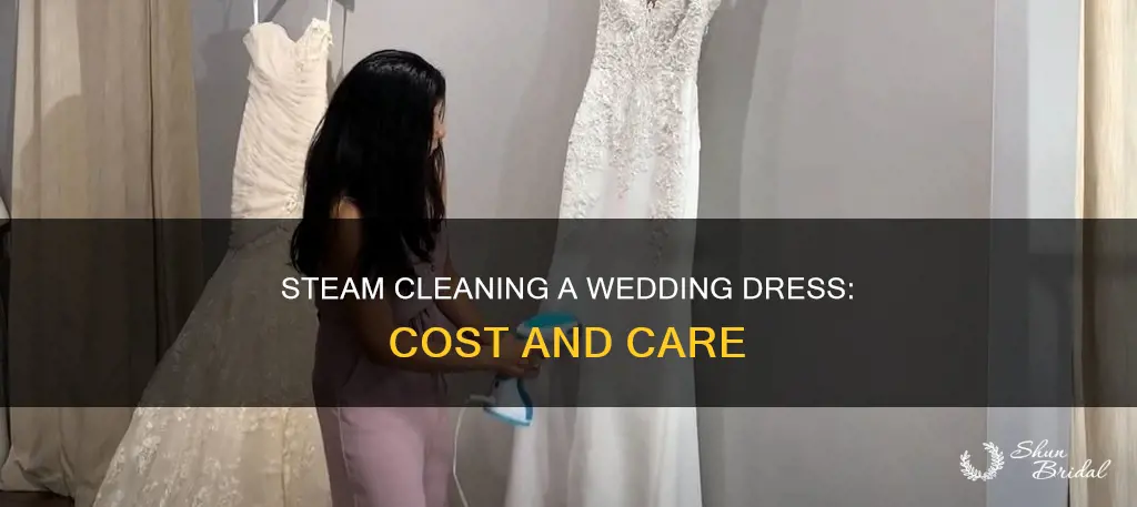how much to steam clean a wedding dress