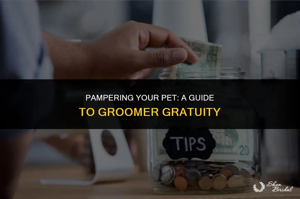 how much to tip a groomer
