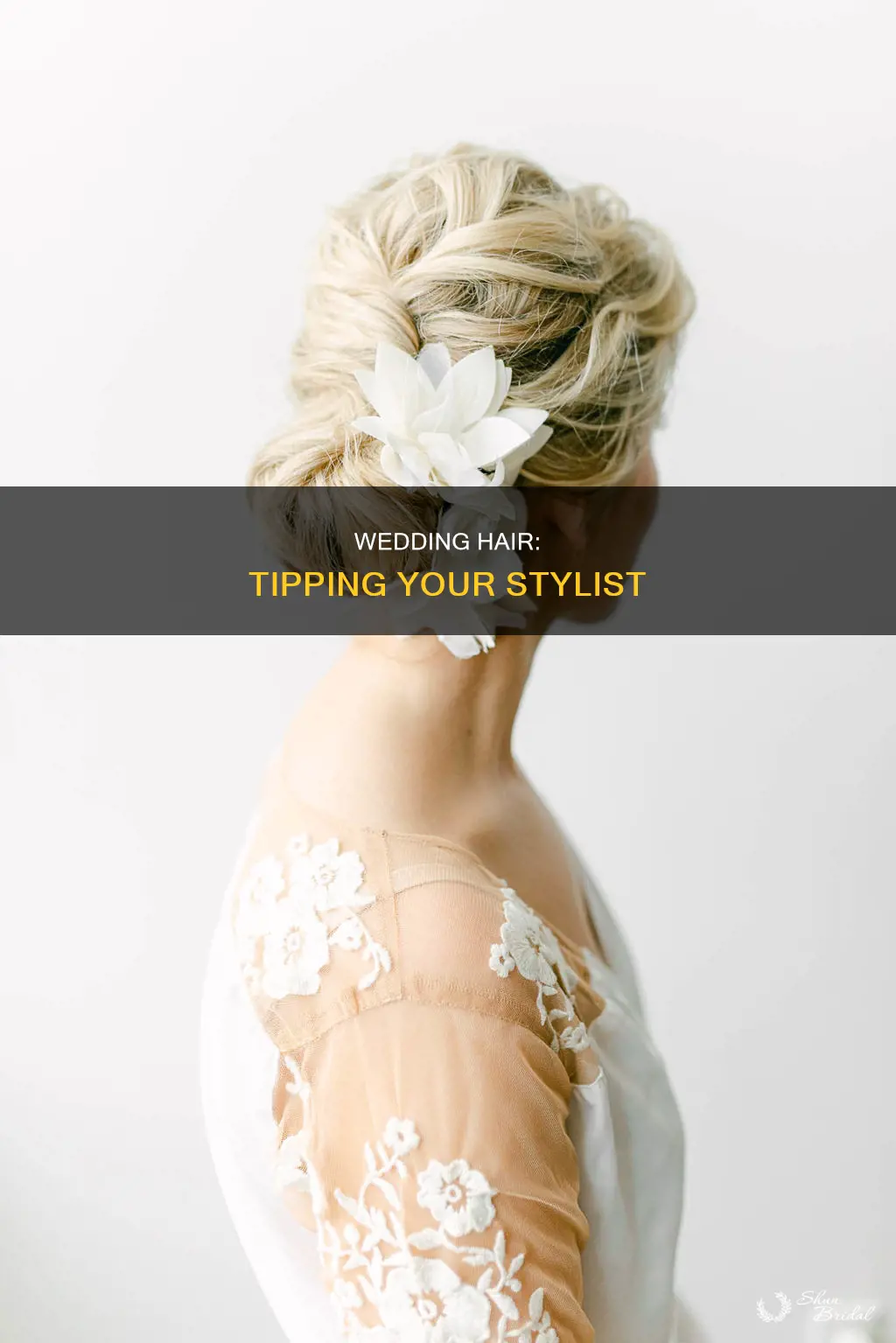 how much to tip hair dresser wedding