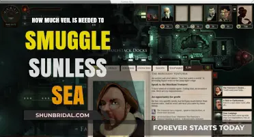 Veil Requirements for Smuggling Sunless Sea: A Comprehensive Guide