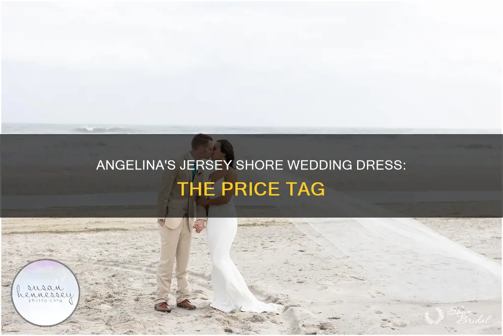 how much was angelina
