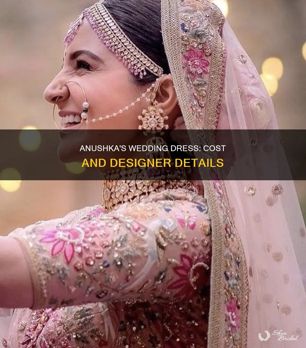 how much was anushka sharma wedding dress