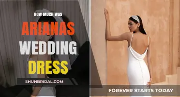 Ariana's Wedding Dress: The Cost of Her Gown