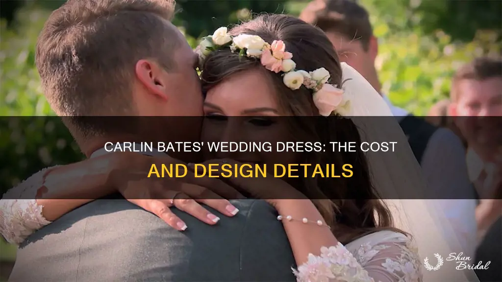 how much was carlin bates wedding dress