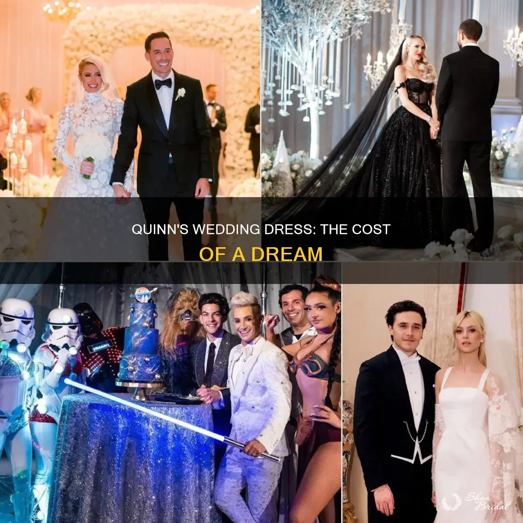 how much was christine quinn wedding dress