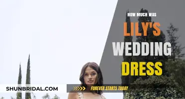 Lily's Wedding Dress: Costly or Affordable?