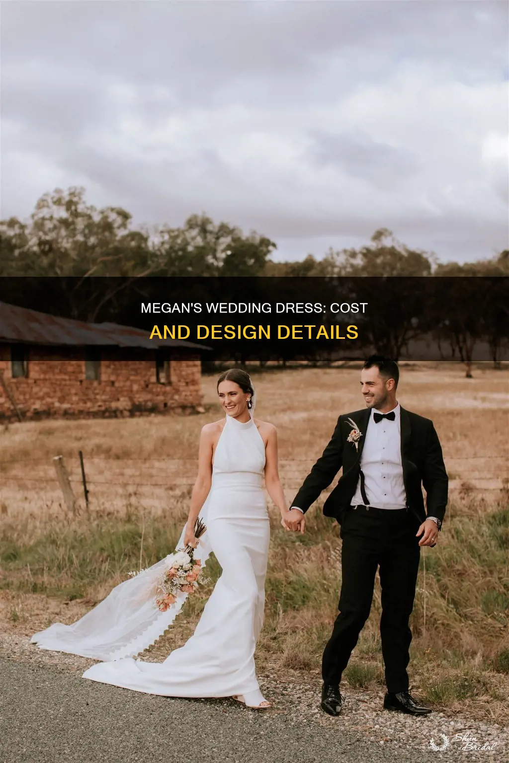 how much was megan erkels wedding dress