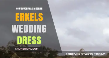 Meghan's Wedding Gown: The Cost of a Dream