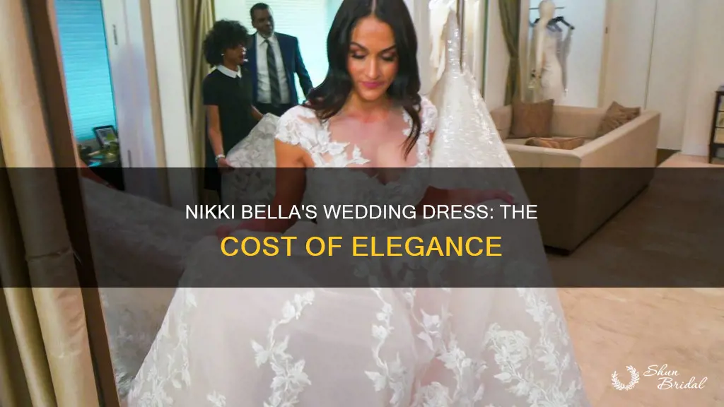 how much was nikki bella