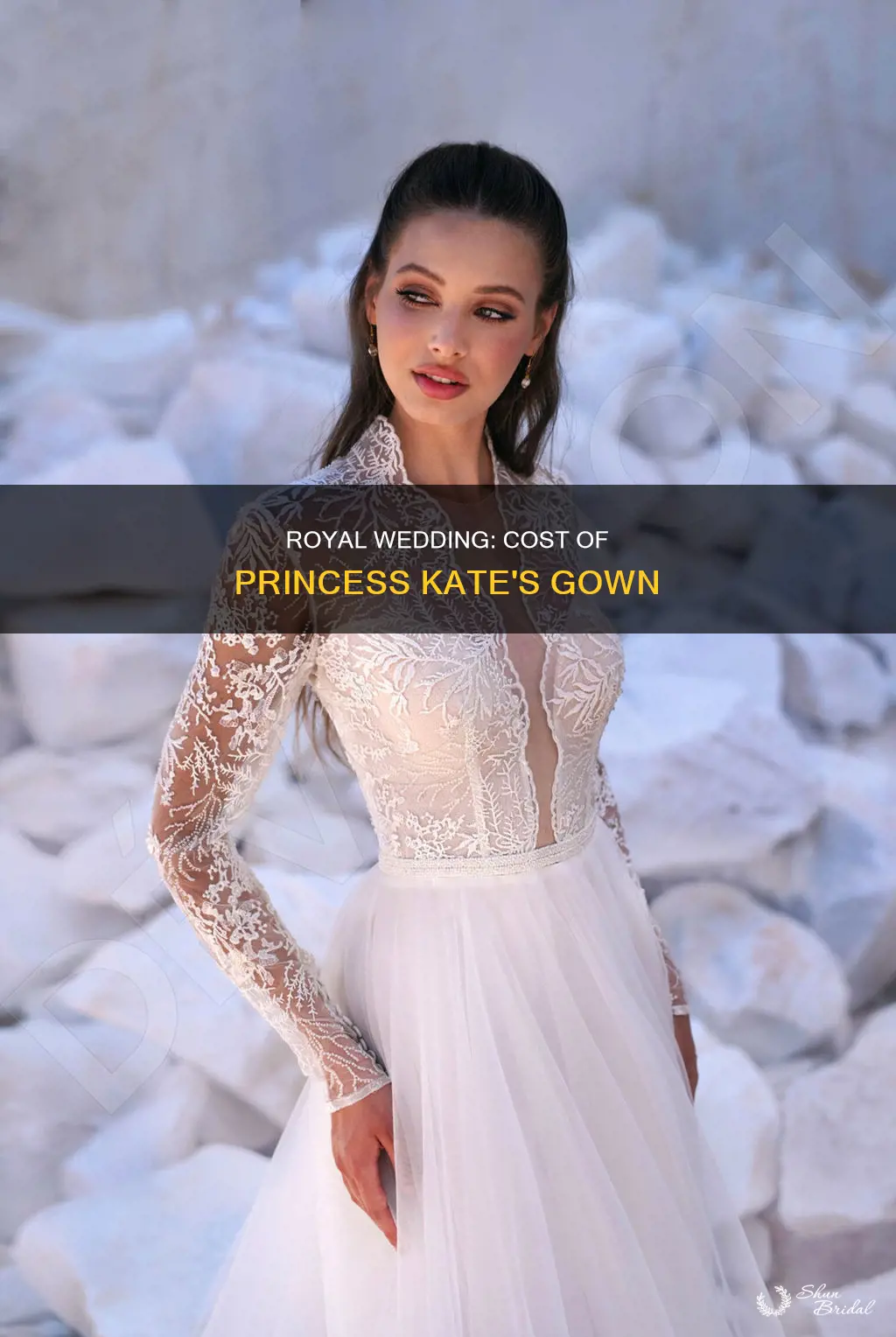 how much was princess kate wedding dress