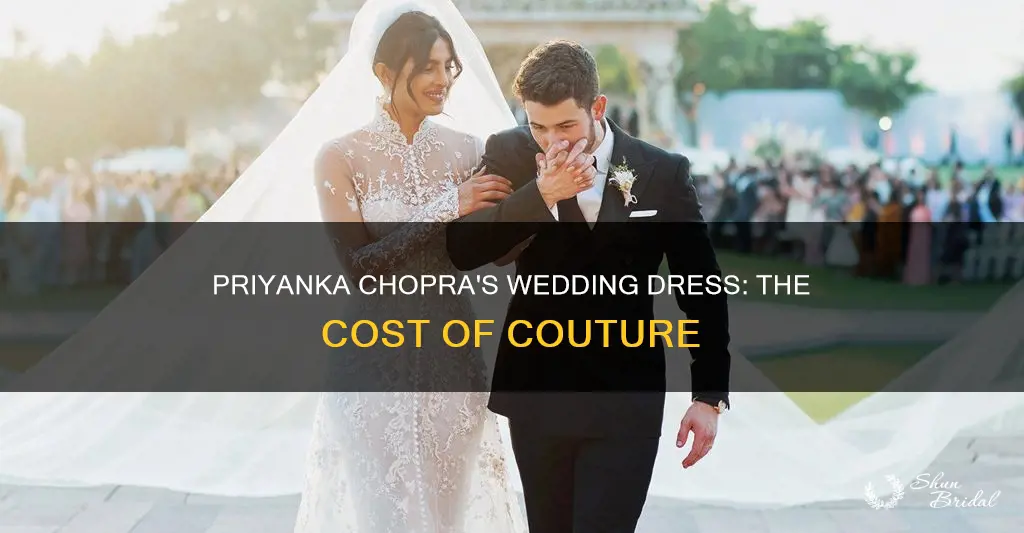 how much was priyanka chopra wedding dress