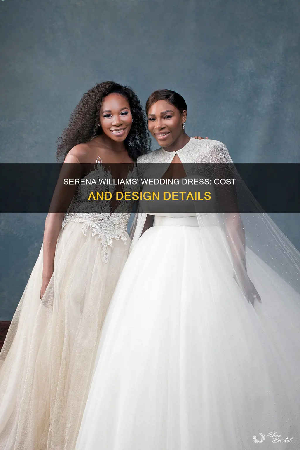 how much was serena williams wedding dress