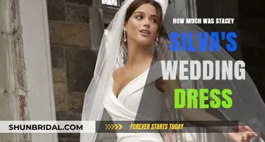 Stacey Silva's Wedding Dress: The Price Tag Revealed