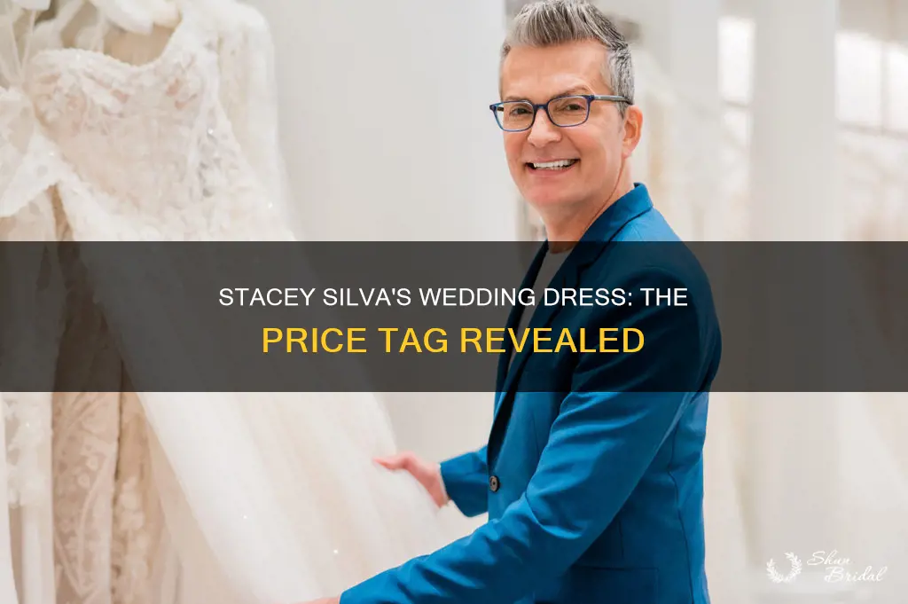 how much was stacey silva