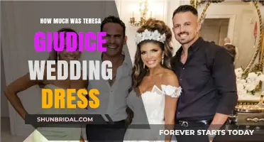 Teresa Giudice's Wedding Dress: The Cost of Glamour