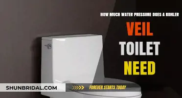 Kohler Veil Toilet: Optimal Water Pressure Requirements Explained