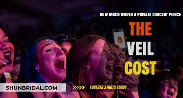 Pierce the Veil Private Concert Cost: What to Expect