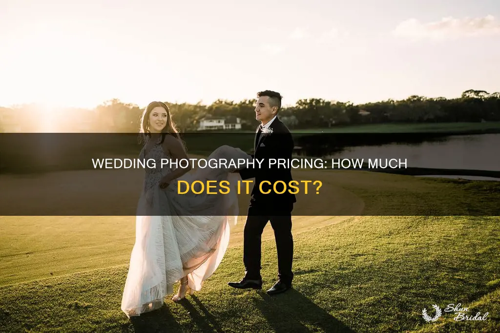 how mucy are wedding photographers
