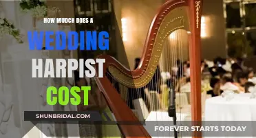 Wedding Harpist Pricing Guide: Costs and Budgeting Tips for Your Big Day