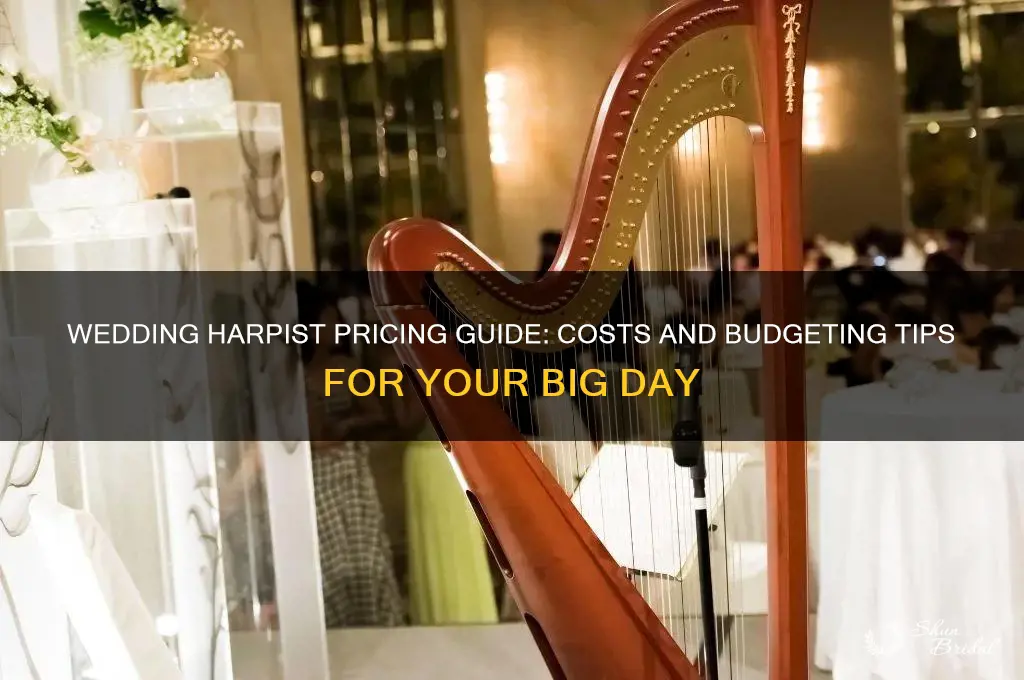 how mudch does a wedding harpist cost