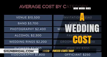 Understanding the Average Cost of a Wedding: Budgeting Tips and Insights