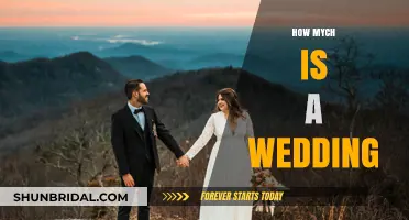 The Real Cost of Saying 'I Do': Wedding Budget Breakdown