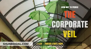 Protecting Your Business: Strategies to Safeguard the Corporate Veil