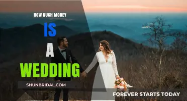 The Real Cost of Tying the Knot: Wedding Expenses Unveiled
