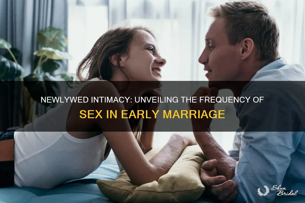 how often do most newly weds have sex