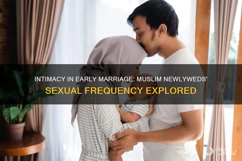 how often do newly wed muslims have sex