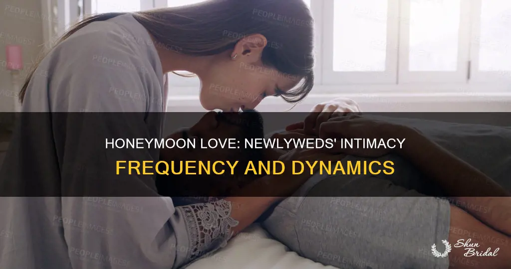 how often do newlyweds make love on honeymoon