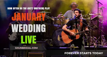 How Often Do The Avett Brothers Perform 'January Wedding' Live?