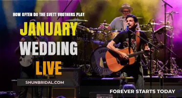 How Often Do the Svett Brothers Perform 'January Wedding' Live?