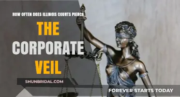 When Does Illinois Courts Pierce the Corporate Veil?