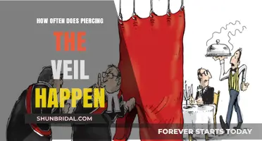 How Often Does Piercing the Corporate Veil Occur in Court?