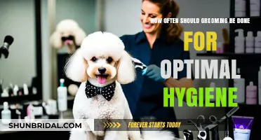 Mastering Personal Grooming: A Guide to Optimal Hygiene Frequency